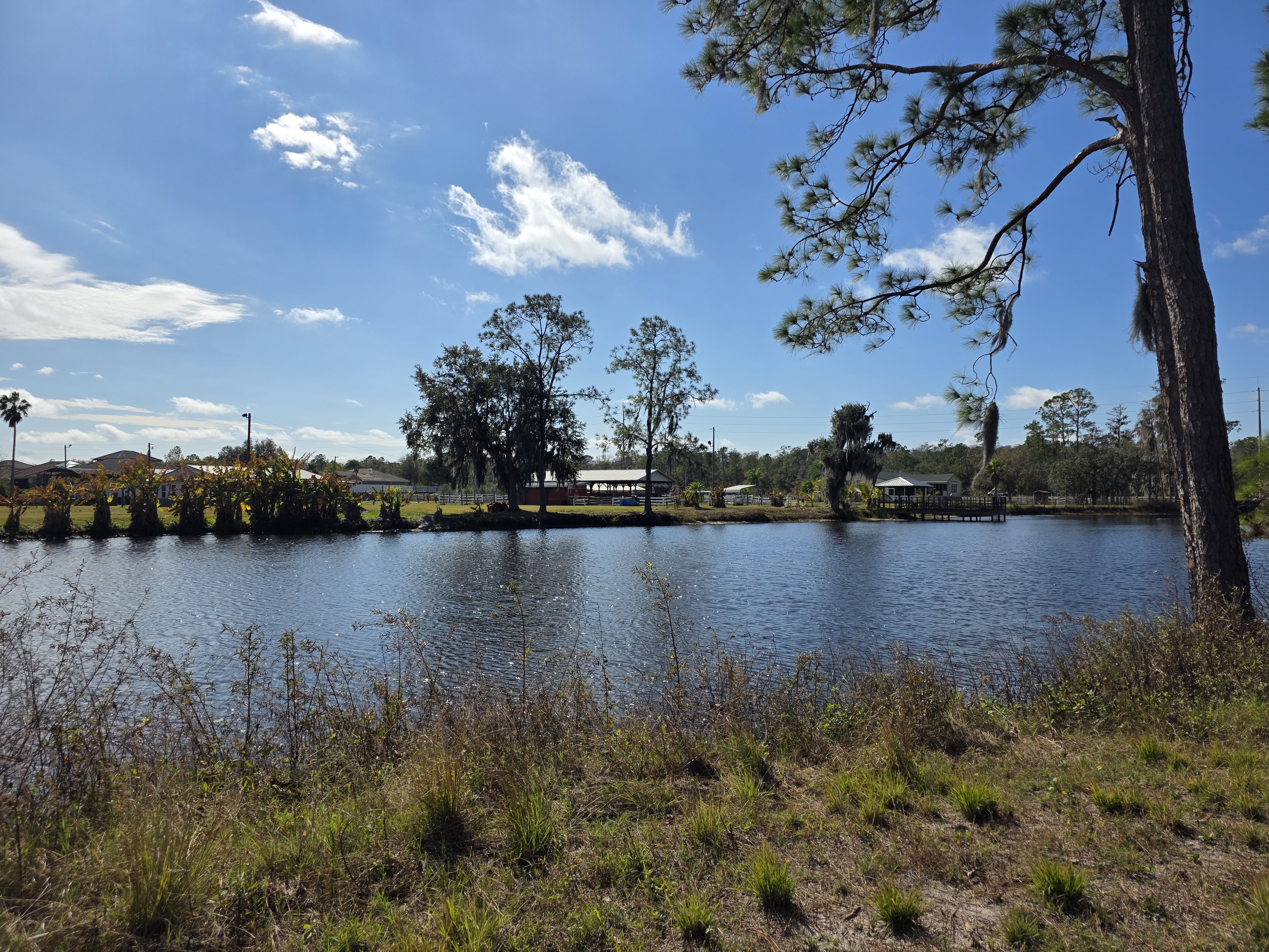 Green Lakes Farm, FL